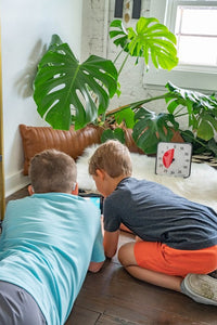 Time Timer® Original Medium – Zwart met Rode Schijf | Visuele Timer 60 Minuten